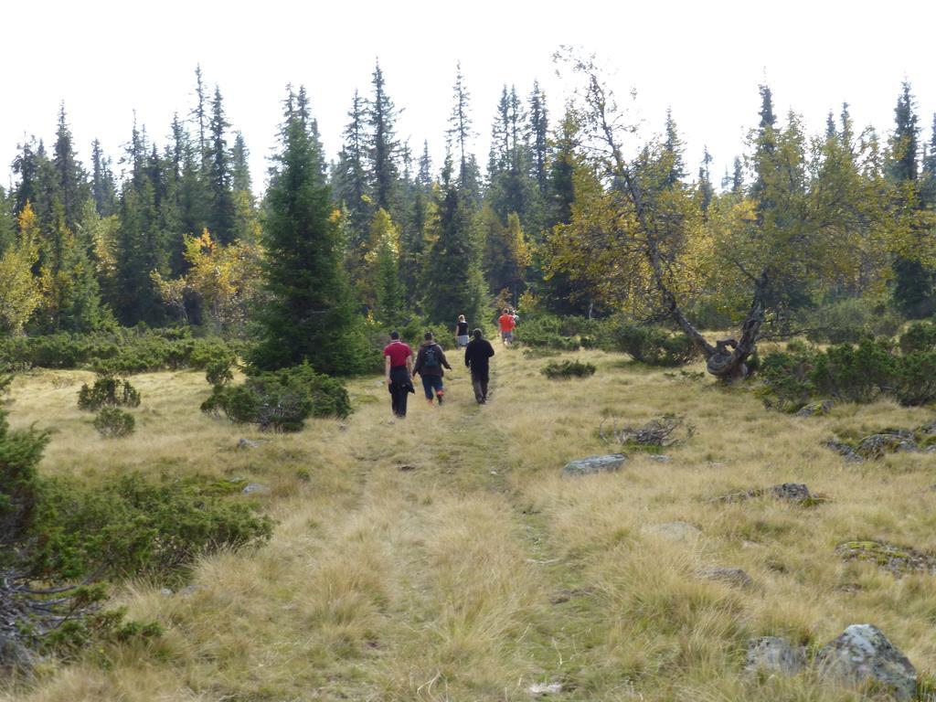 Hornsjo Fjellhotel Hafjell Bagian luar foto