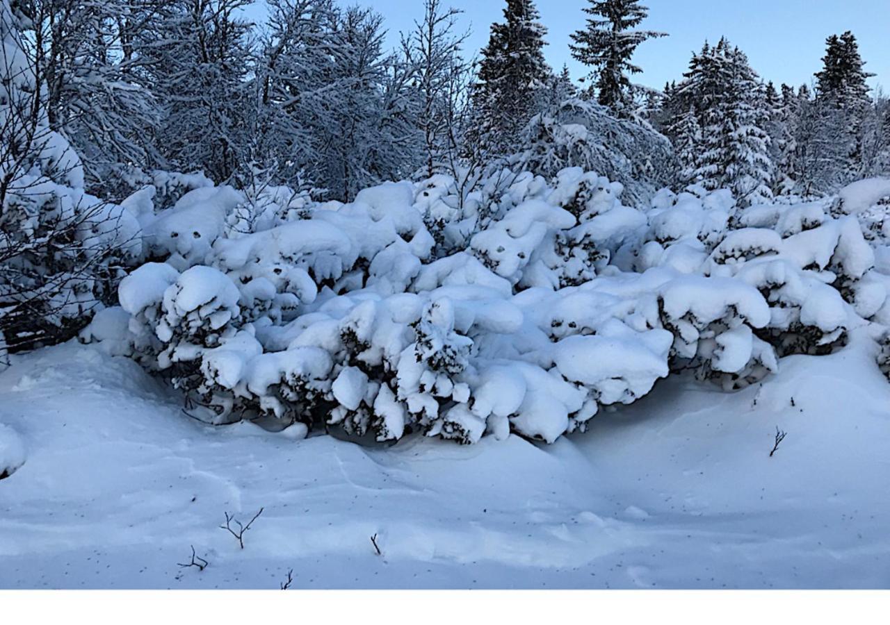 Hornsjo Fjellhotel Hafjell Bagian luar foto