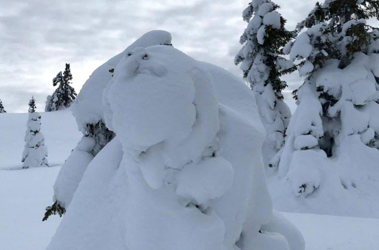 Hornsjo Fjellhotel Hafjell Bagian luar foto